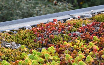 the cost of Cardinals Green green roof installation