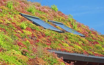Cardinals Green living roof systems