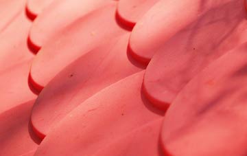 Cardinals Green plastic roof costs