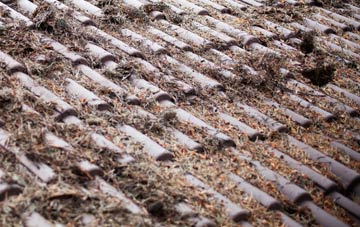 Cardinals Green roof cleaning companies