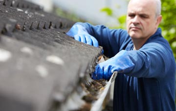 cleaning and inspecting Cardinals Green roofs
