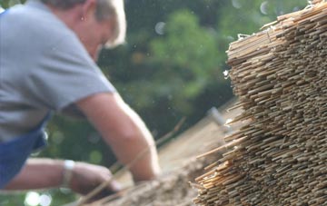 professional Cardinals Green thatchers