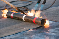 free Cardinals Green roof quotes