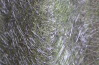 Cardinals Green fibreglass roof work